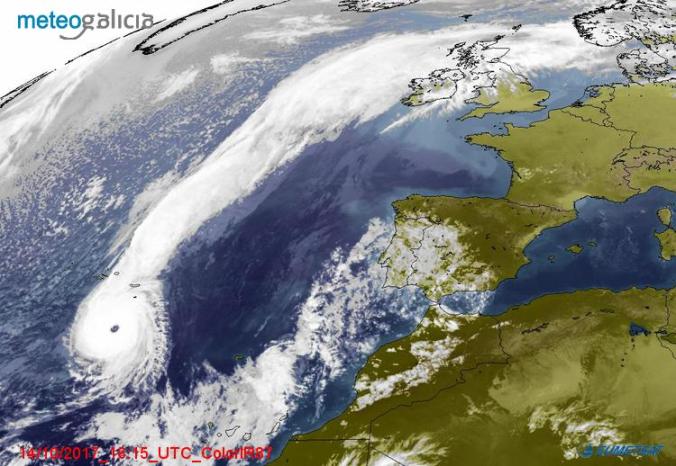 webexterna_ColorIR87_[16-15]